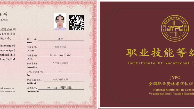 小型AI公司注册流程全解析：关键步骤与注意事项